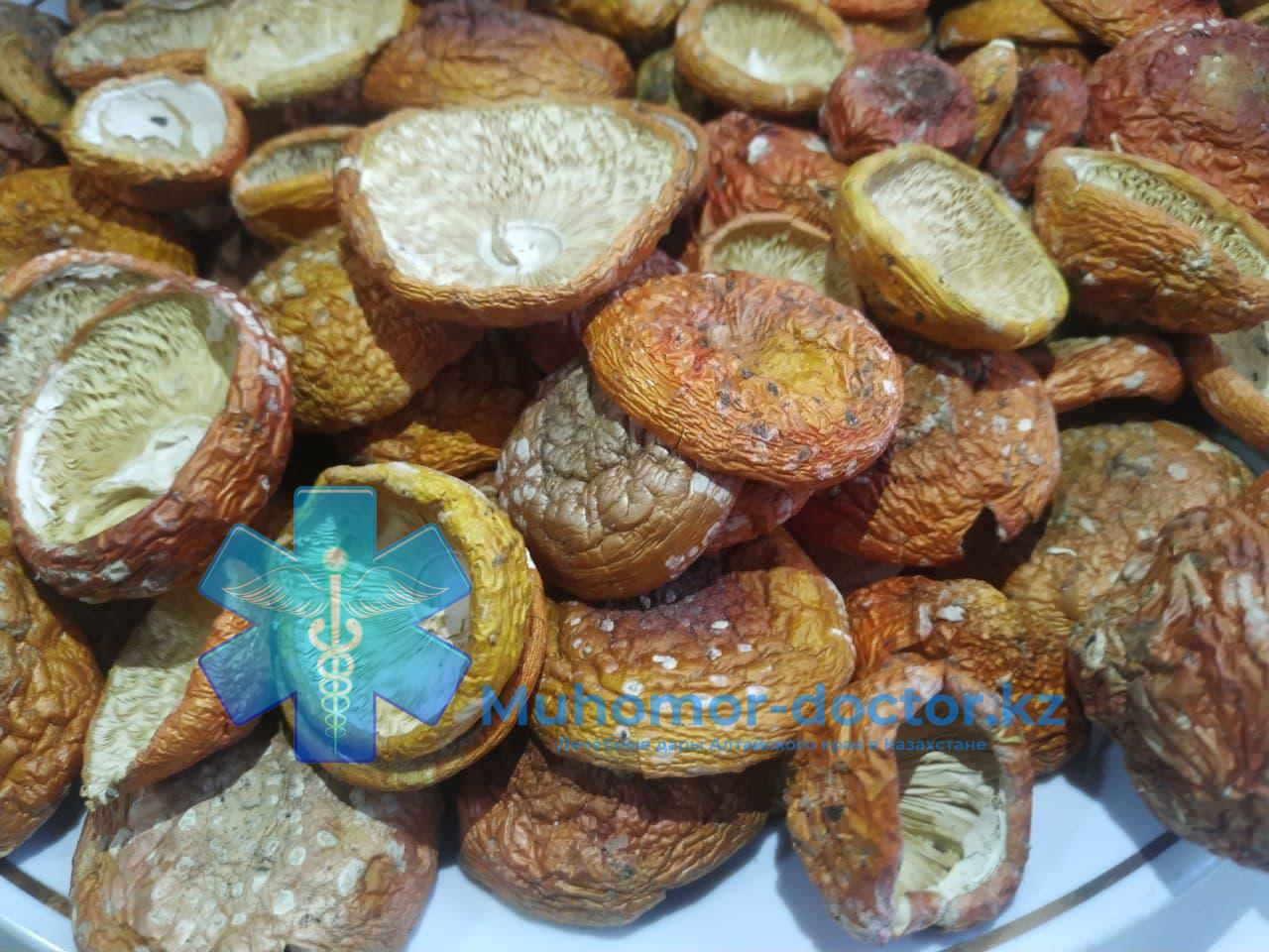 photo_2021-11-14_23-07-51 (2) Шляпки Красного Мухомора