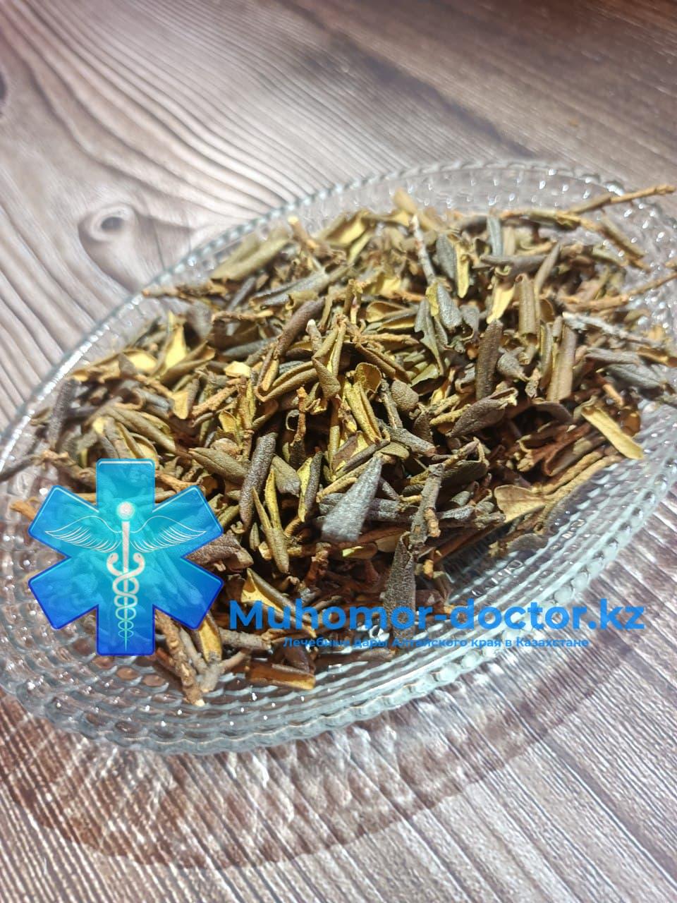 photo_2022-02-03_01-02-43 (2) Саган Дайля в Казахстане