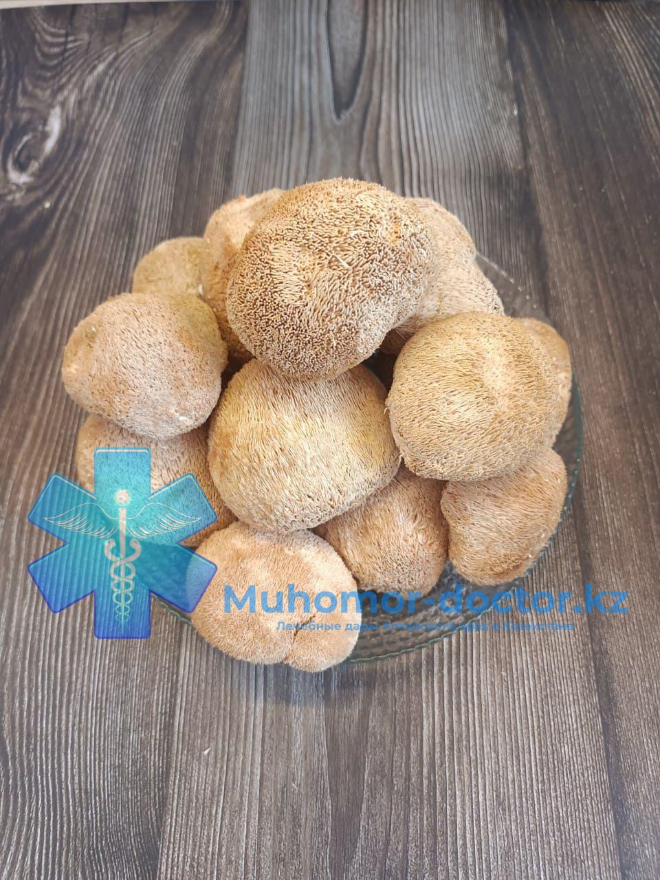 photo_2022-02-06_23-13-47 Ежовик Гребенчатый