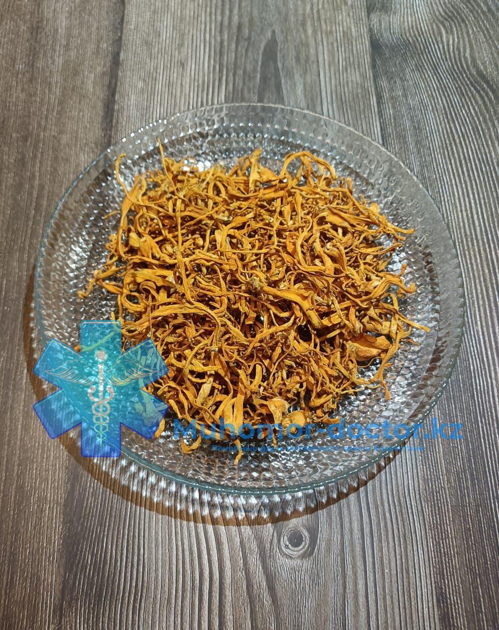 photo_2022-02-11_00-54-06 Гриб Кордицепс милитарис : лекарь-хищник