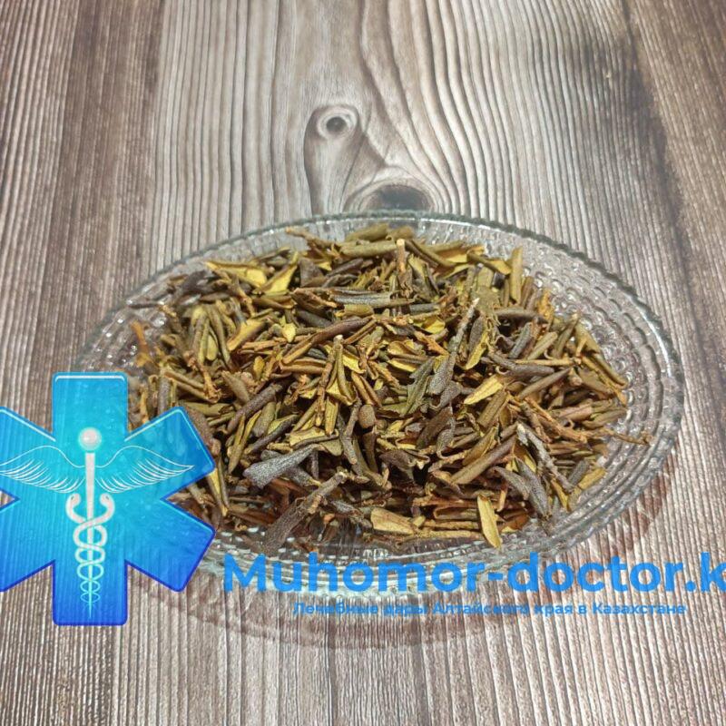 Саган Дайля в Казахстане