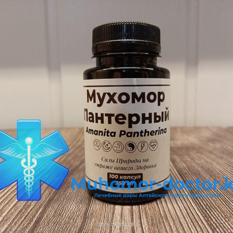 Микродозинг Мухомор Пантерный в Казахстане