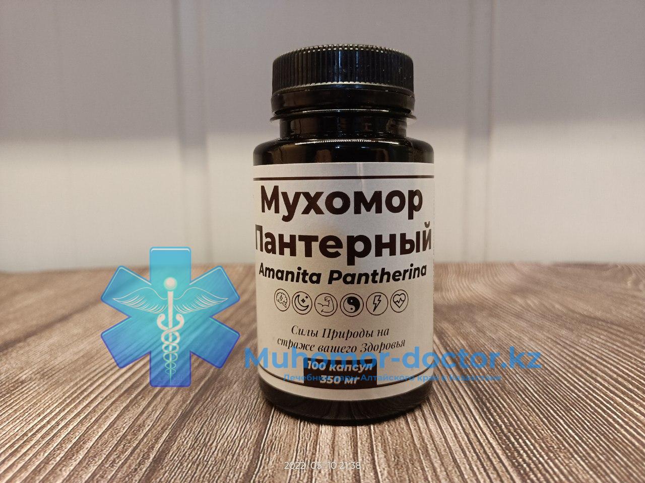 photo_2022-05-10_21-54-13 Микродозинг Мухомор Пантерный в Казахстане