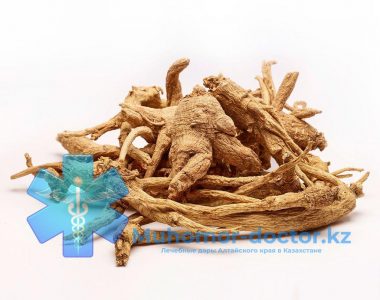 blog-adaptogen_1024x1024