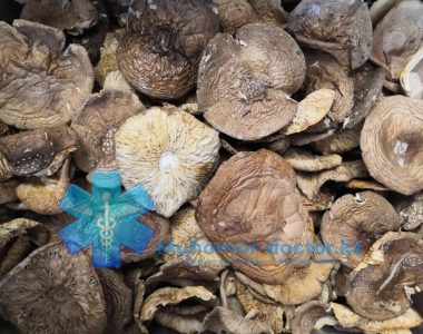 ПантерныйШляпки1