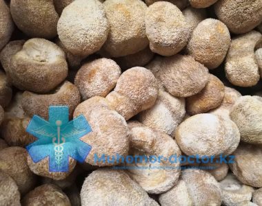 photo_2021-07-02_22-42-41