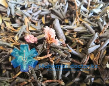 Чай Саган Дайля