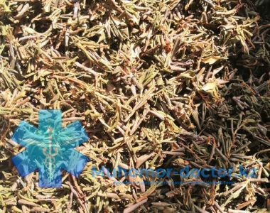 photo_2021-08-16_13-32-54