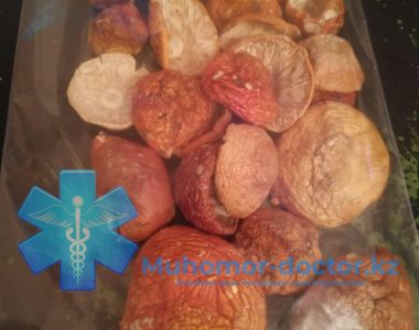 photo_2021-11-24_20-36-35