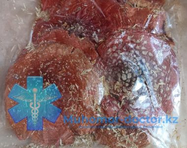 photo_2021-12-02_20-15-59