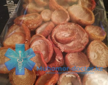 photo_2021-12-02_20-19-36