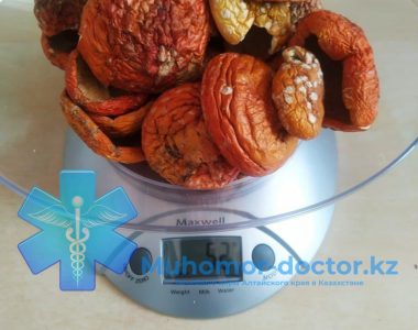 photo_2021-12-02_20-20-43