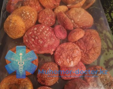 photo_2021-12-02_20-27-34 (2)